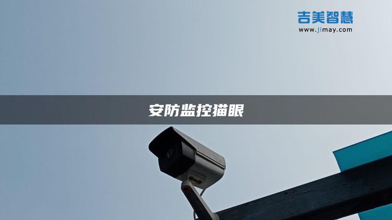 人脸识别门禁系统：型号解析与应用场景